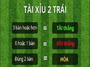 Định nghĩa tài xỉu 2 trái